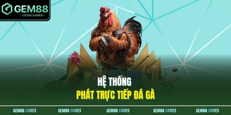 Hệ thống phát trực tiếp đá gà