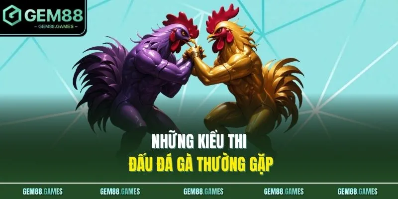 Những kiểu thi đấu đá gà thường gặp